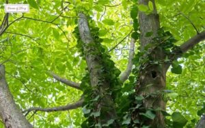 Blog 5 2