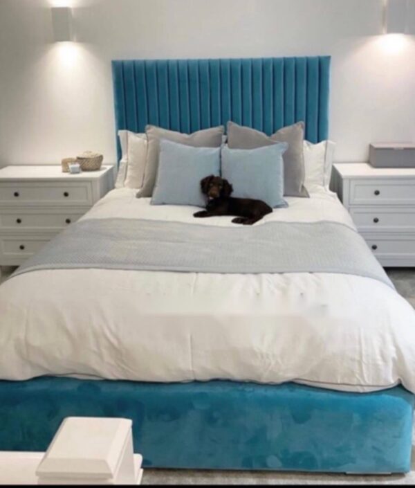 Thomasina bed