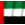 UAE Flag