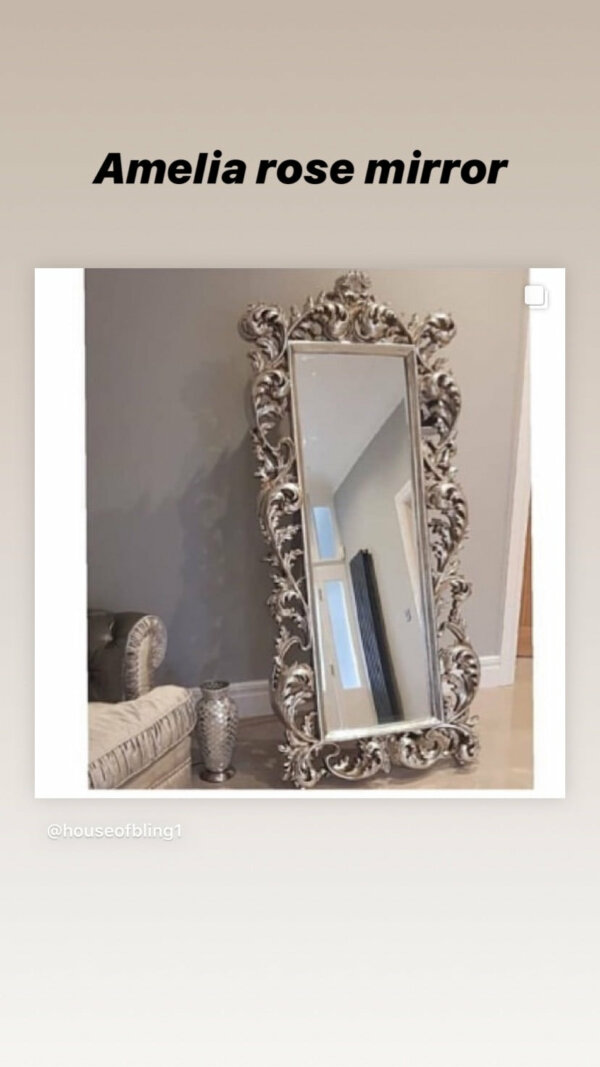 Amelia rose ornate free standing mirror