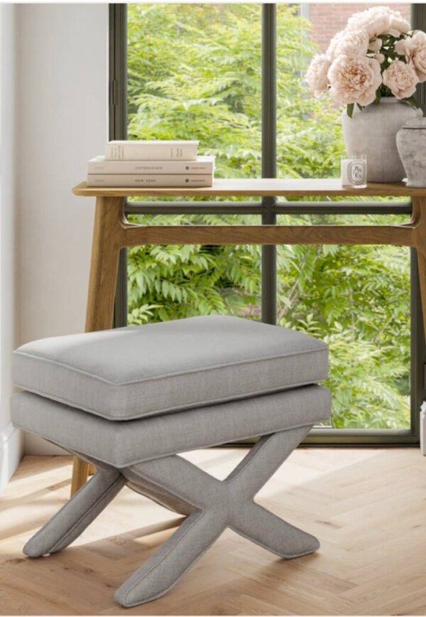 Ariana X stool