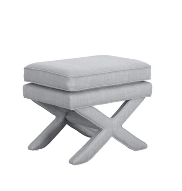 Ariana X stool