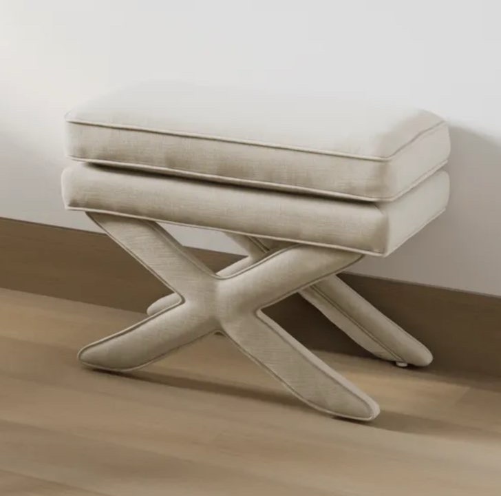 Ariana X stool