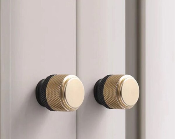 Hampshire door handles